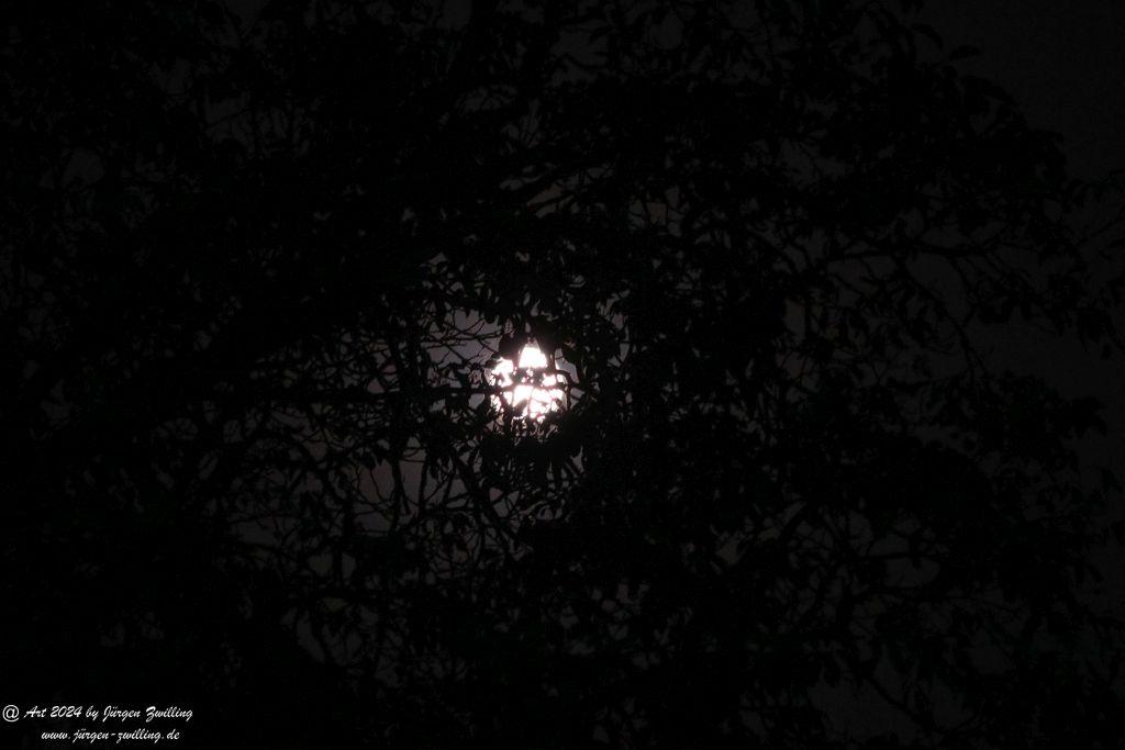 Mond über Rüdesheim an der Nahe - Rheinhessen