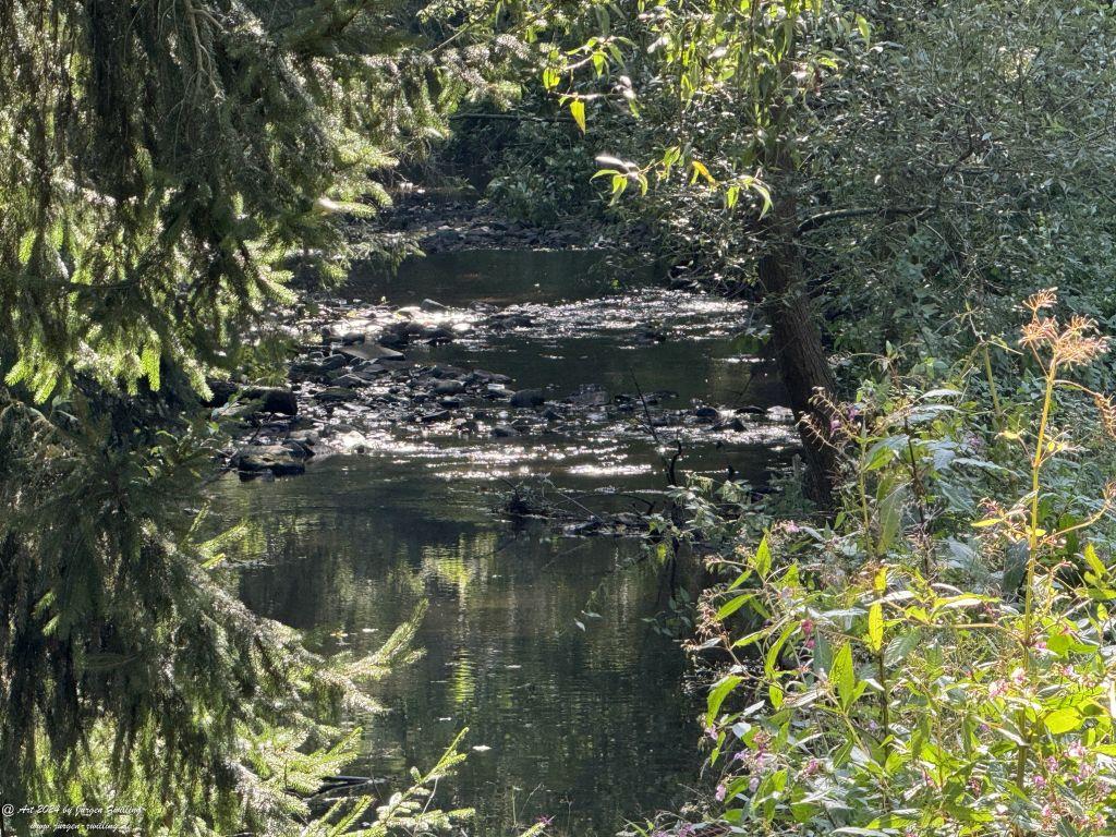 Urwald Ellerbach - Rüdesheim an der Nahe - Rheinhessen