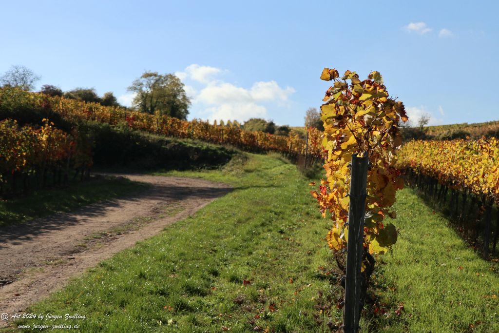  Herbst in Siefersheim - Rheinhessen