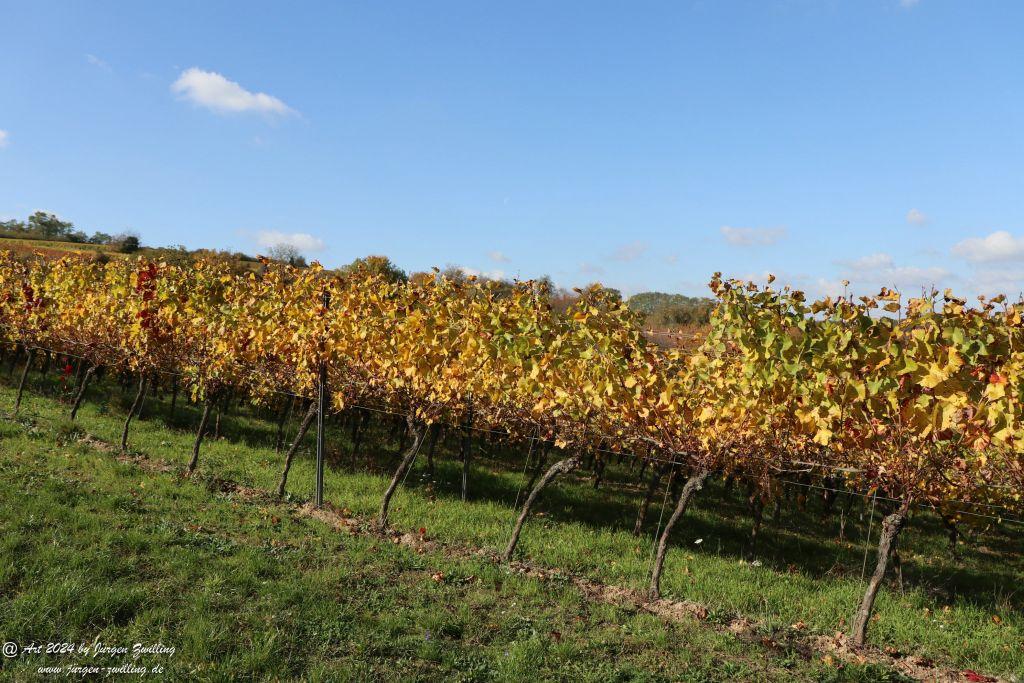  Herbst in Siefersheim - Rheinhessen