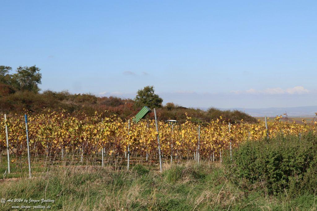  Herbst in Siefersheim - Rheinhessen