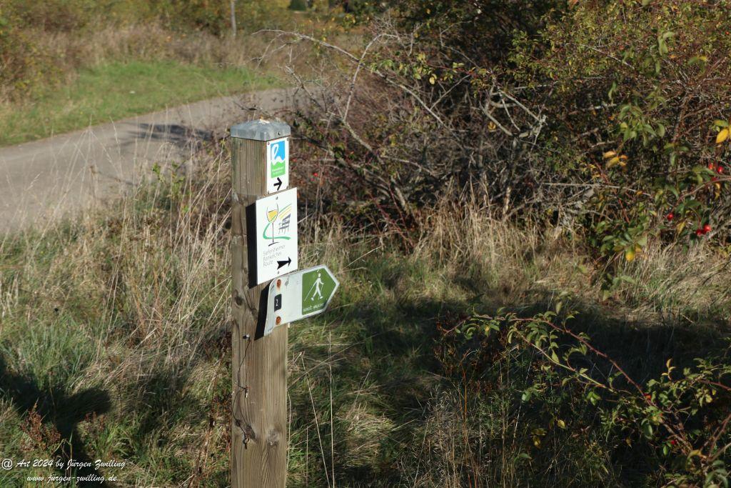  Herbst in Siefersheim - Rheinhessen