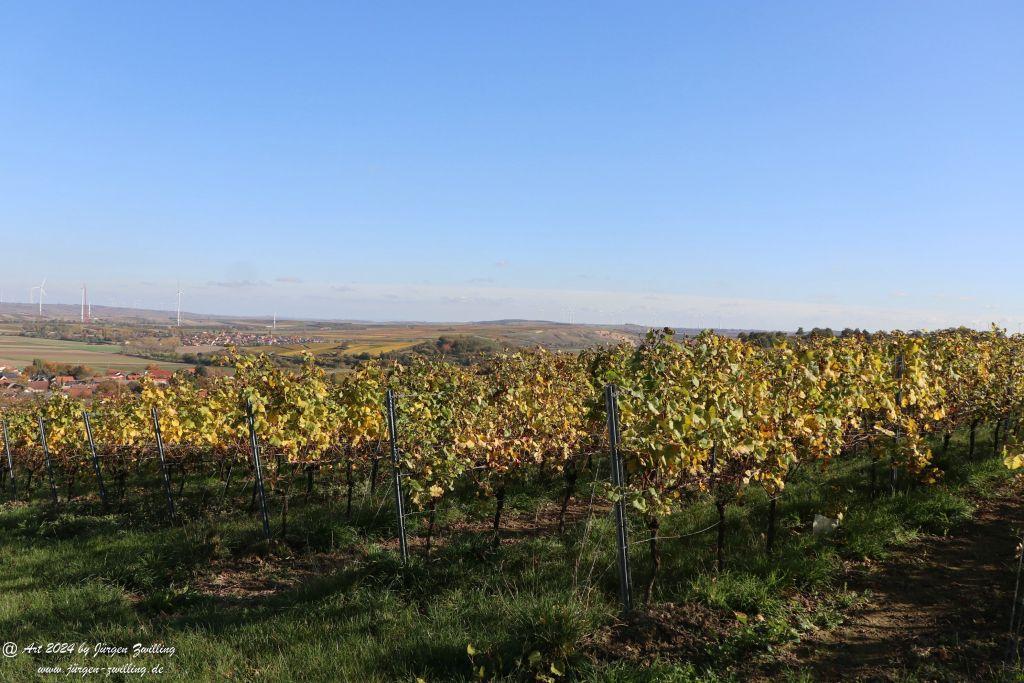  Herbst in Siefersheim - Rheinhessen