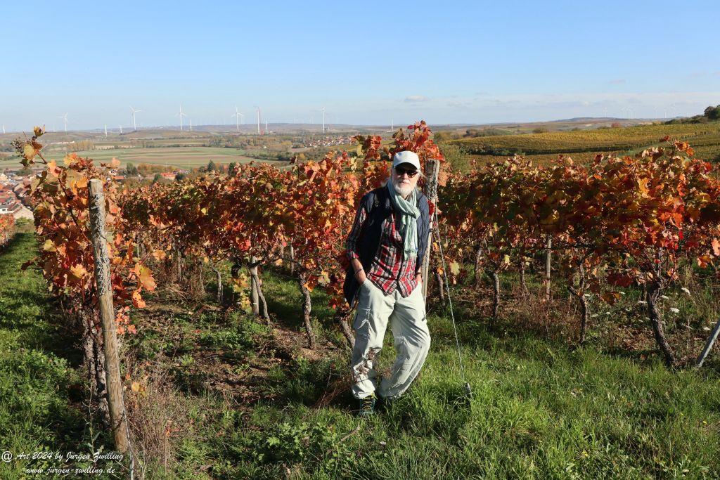  Herbst in Siefersheim - Rheinhessen