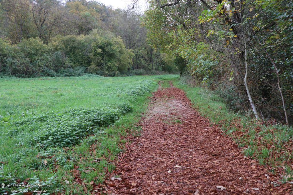 Philosophische Bildwanderung Wöllsteiner Märchenweg - Wöllstein Rheinhessen