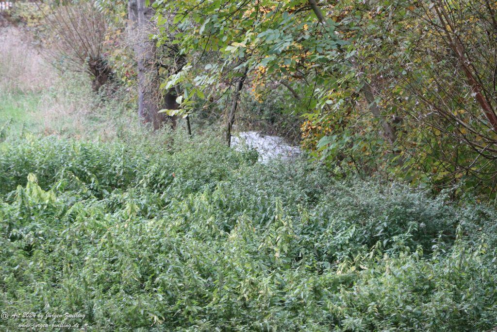 Philosophische Bildwanderung Wöllsteiner Märchenweg - Wöllstein Rheinhessen