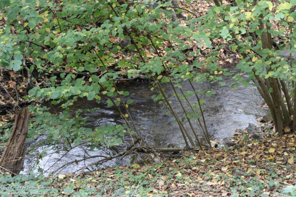 Philosophische Bildwanderung Wöllsteiner Märchenweg - Wöllstein Rheinhessen