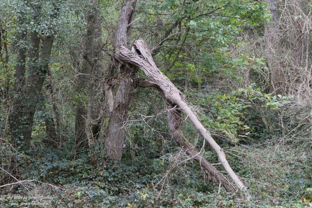 Philosophische Bildwanderung Wöllsteiner Märchenweg - Wöllstein Rheinhessen