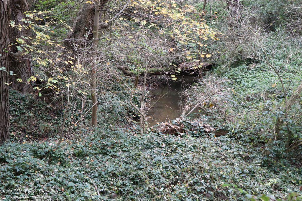 Philosophische Bildwanderung Wöllsteiner Märchenweg - Wöllstein Rheinhessen