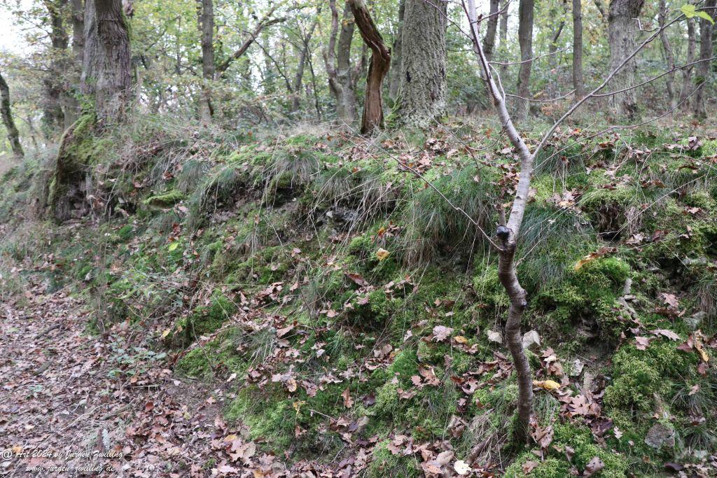 Philosophische Bildwanderung Wöllsteiner Märchenweg - Wöllstein Rheinhessen