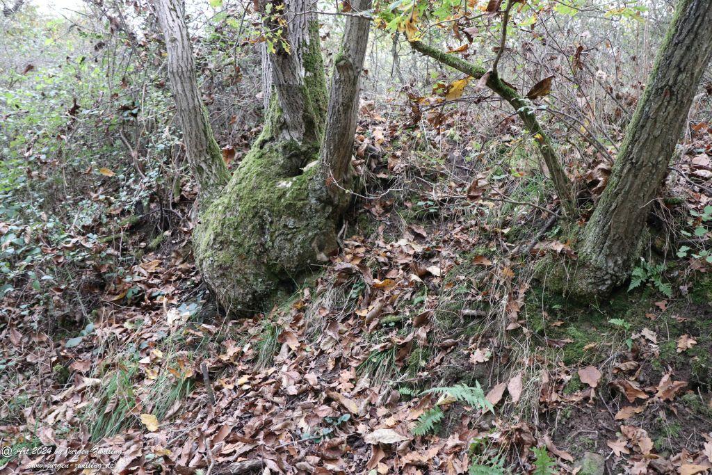 Philosophische Bildwanderung Wöllsteiner Märchenweg - Wöllstein Rheinhessen