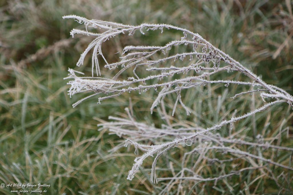  Eisige Winter Nebel  - Rüdesheim an der Nahe - Rheinhessen