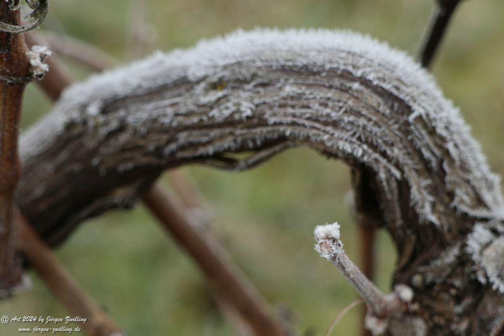  Eisige Winter Nebel  - Rüdesheim an der Nahe - Rheinhessen