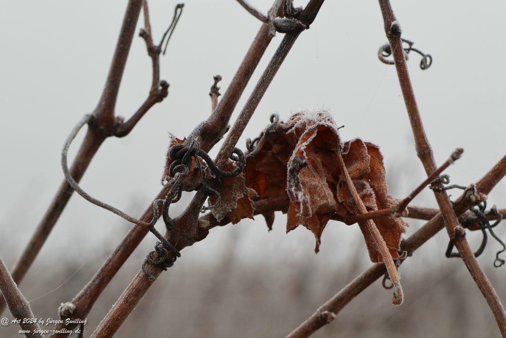  Eisige Winter Nebel  - Rüdesheim an der Nahe - Rheinhessen