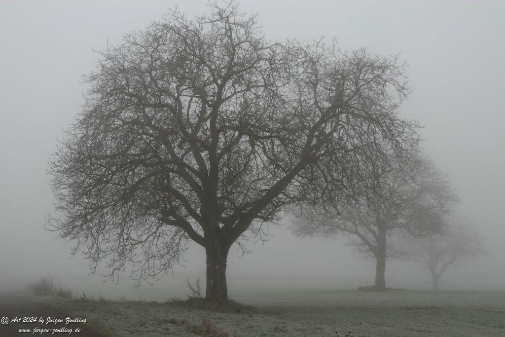  Eisige Winter Nebel  - Rüdesheim an der Nahe - Rheinhessen