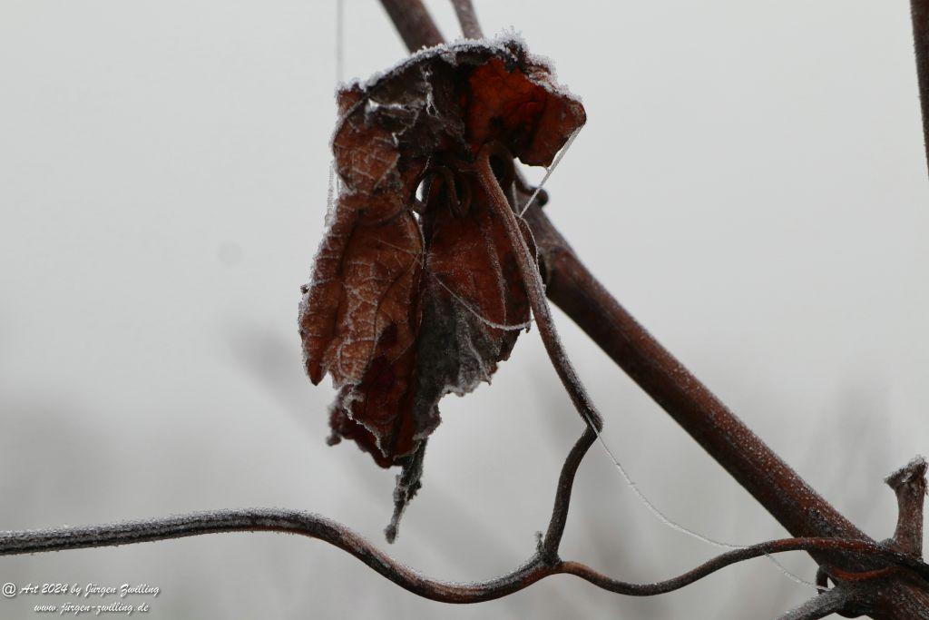  Eisige Winter Nebel  - Rüdesheim an der Nahe - Rheinhessen