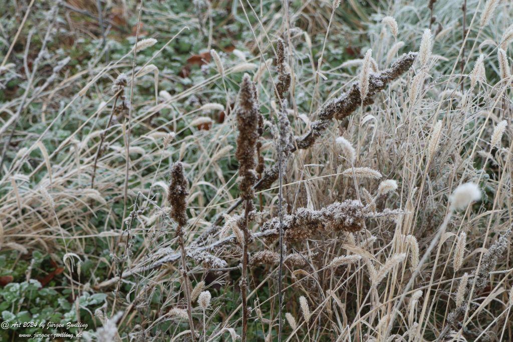  Eisige Winter Nebel  - Rüdesheim an der Nahe - Rheinhessen