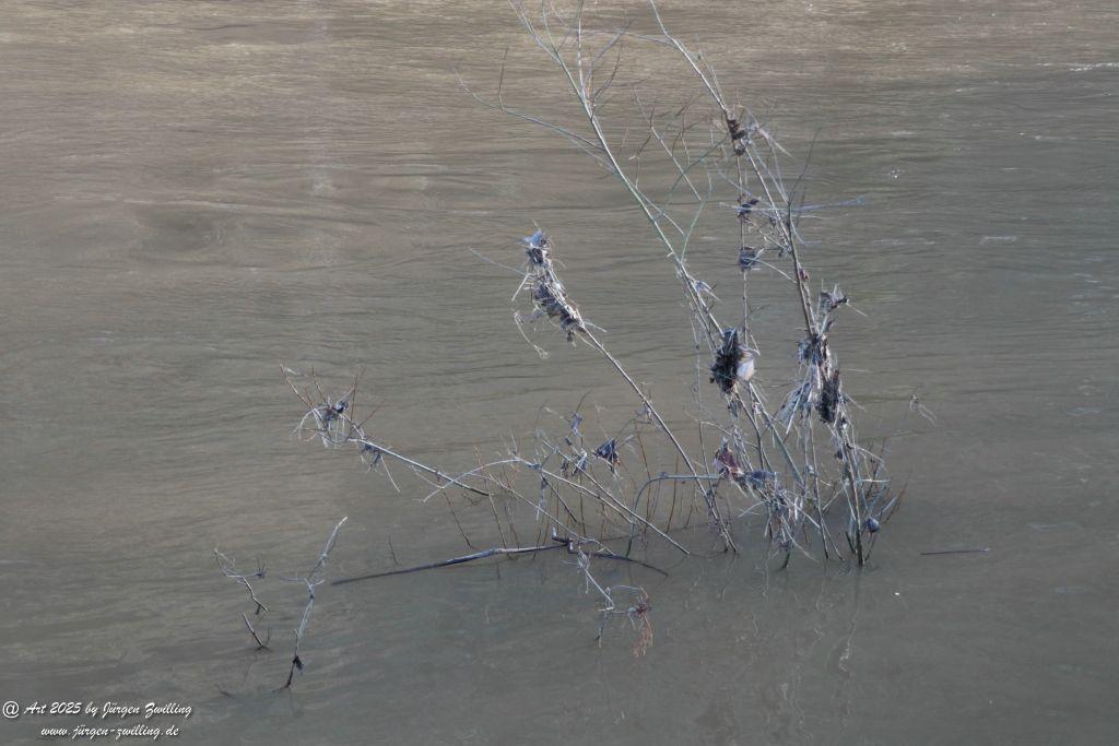 Nahe - zurückgehendes Hochwasser - Bad Münster am Stein - Rheinland Pfalz