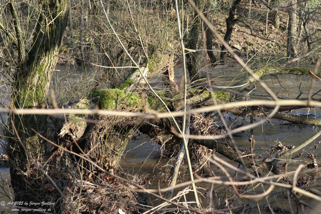 Nahe - zurückgehendes Hochwasser - Bad Münster am Stein - Rheinland Pfalz